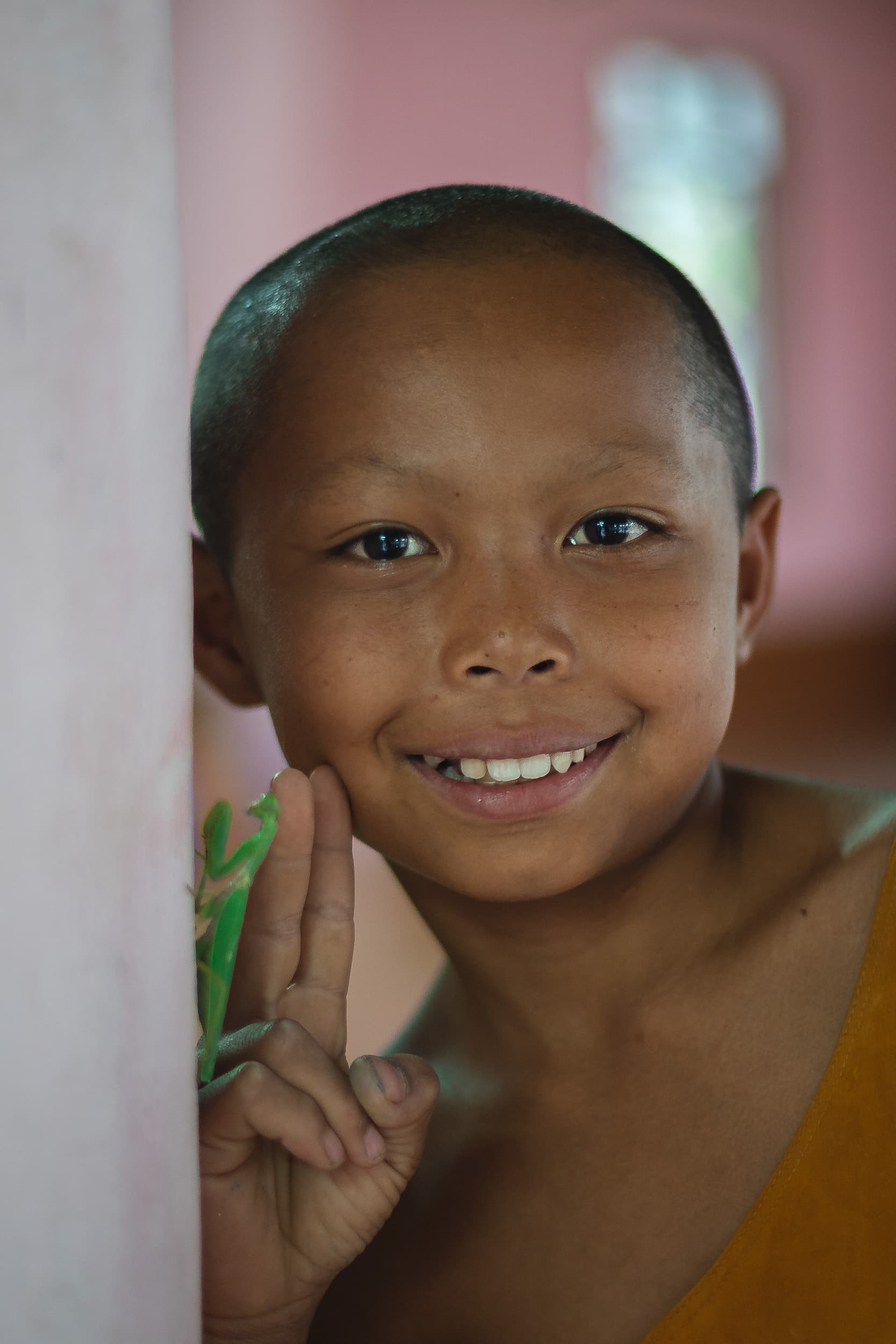 laotian young monk portrait